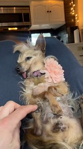 81K views · 613 reactions | Getting her hair did and a massage. Spoiled rich girl. | fatherofpaws | Facebook