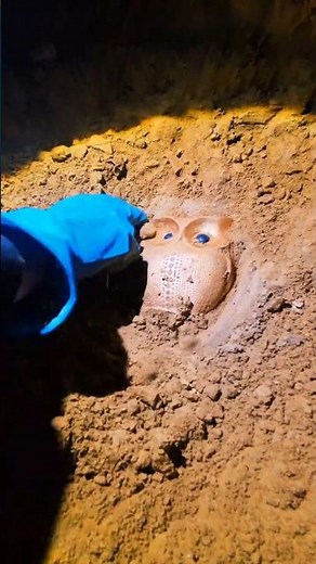 This is why people metal detect