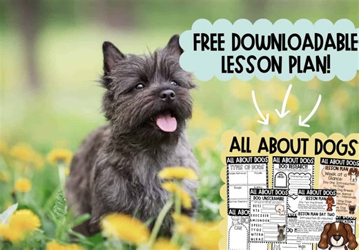 All About Dogs! A Free Downloadable Lesson Plan for Young Learners