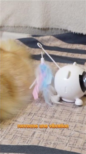 Il comprend l'intonation, pas juste les mots.