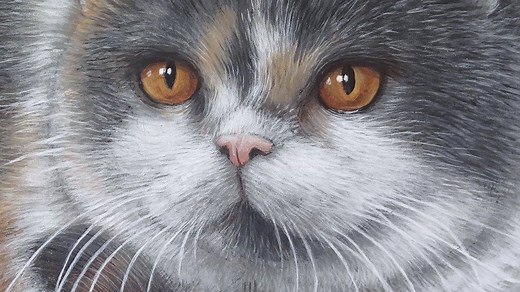 11K views · 601 reactions | How to Paint a Cat on a Rock |...