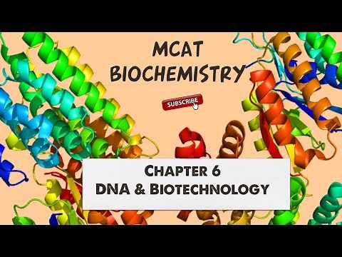 MCAT Biochemistry: Chapter 6 - DNA and Biotechnology (1/1)