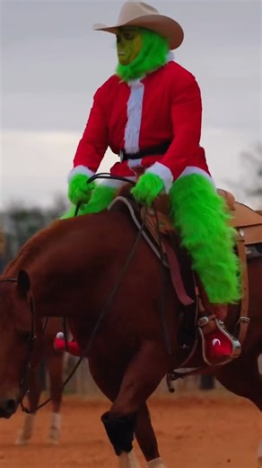 Deary Performance Horses on Instagram: "𝙒𝙝𝙤 𝙞𝙣 𝙩𝙝𝙚 𝙒𝙝𝙤𝙫𝙞𝙡𝙡𝙚 𝙠𝙣𝙚𝙬 𝙩𝙝𝙚 𝙂𝙧𝙞𝙣𝙘𝙝 𝙘𝙤𝙪𝙡𝙙 𝙧𝙪𝙣 𝙖𝙣𝙙 𝙨𝙡𝙞𝙙𝙚 𝙡𝙞𝙠𝙚 𝙩𝙝𝙖𝙩? Must’ve subscribed to the training videos 😂 . . #dearyperformancehorses #thegrinch #reininghorses"