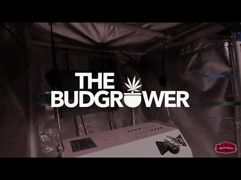 How to set up Cannabis tent kit by The Bud Grower
