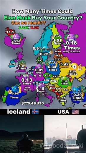 How Many Times Could Elon Musk Buy Your Country? #lobodzieyski #map