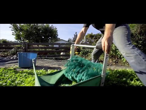 From City to Harvest: The Urban Farmer by Curtis Stone