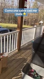 This man was getting back to his home when he encountered goats on his way. The goats chased him and also attempted to attack him with their horns while he attempted to flee. | Jukin Copyright Management