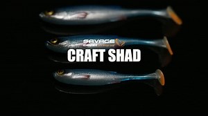 🆕 CRAFT SHAD 🖌 👉 Crafted and designed by Mads Grosell! 👌 🎬 See the full video on our #Youtube channel! 🎬 👉 https://fcld.ly/craft-shad The new Craft Shad is the latest addition to our #craftlures! It features a slim profile that´s inspired by a bleak and has big realistic soft eyes with perfect details. 💯 ✅ Soft eyes ✅ Slender body profile ✅ T-tail design ✅ Handcrafted and painted Available in 3 sizes and 6 colors! 🎨 👉 Coming to shops across the EU soon! 🛒 #savageworld #savage #simplys