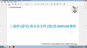 MATLAB教学视频：二进制和文本文件的MATLAB操作_W
