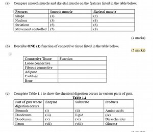 (a) Compare smooth muscle and skeletal muscle based on the foll... | Filo