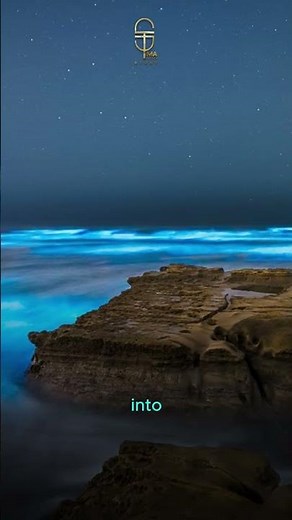The Ocean That Glows at Night 🌊 | Bioluminescent Beaches