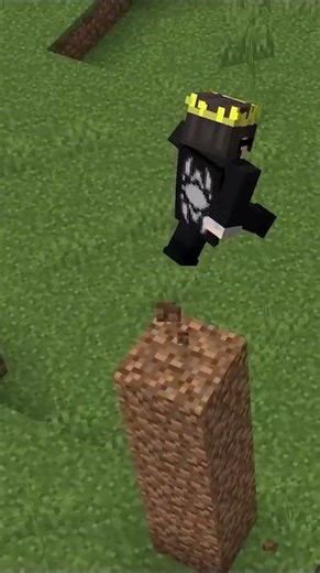 SenpaiSpider Public Lifesteal Server! #minecraft #publicserver #mcserver #happymc