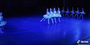 Beautiful Swan Lake Ballet Performance Edit