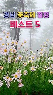 Top 5 Flower Festivals in Gyeongnam, You'll Regret Not Going Now, Peak Fall Flower Season, Must-V...