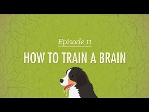 How to Train a Brain - Crash Course Psychology #11
