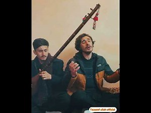 Insano basti rai bedardan dunyo sar chitrali song / rizwan Hussain rizvi