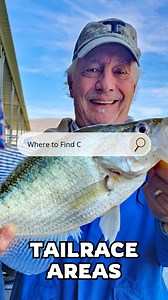 Tailrace regions below hydroelectric dams, like Chickamauga and Nickajack in Tennessee, are prime spots for crappie fishing! Capt. Josh Antwine emphasizes the importance of finding calm pockets where crappie can ambush baitfish, especially during water releases in colder months. These areas are often easier to fish, providing great opportunities for impressive catches. Pro Tips: Focus on areas where the current slows, like eddies and slack water. Use sonar to locate schools of baitfish. Try plas