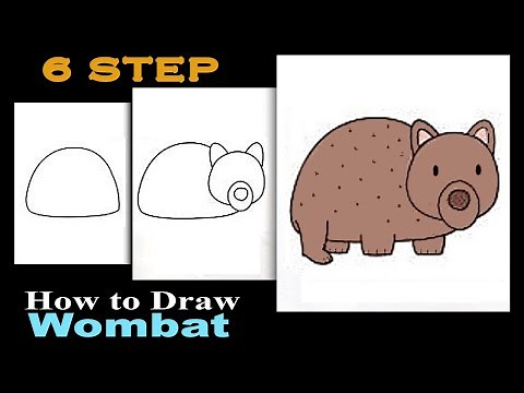 How to draw a wombat@6 steps drawing