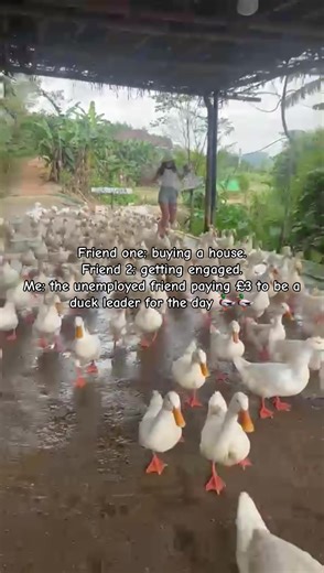 Partly fun, partly petrifying being a duck leader for the day 😂😂😂😂. Everyone needs a friend with crazy stories to tell! I am aware of the IPhone 4s quality for some reason. . . . . . . . #traveltok #foryoupage❤️❤️ #school #backpacking #traveldiaries
