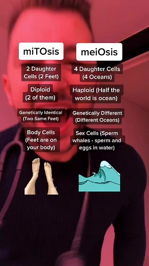 Mitosis vs Meiosis: A Clear Explanation