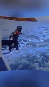 73K views · 2.6K reactions | Check our website pawlifetales.com #k9 #dog #tactical #tranding #dogstraining #dogsofttktik #tacticaldogs #dog #k9 | Family K9 z | Facebook