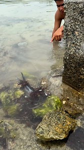 36K views · 164 reactions | May buntot ng isda dina nakawala | Olivares Hunters | Facebook