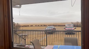 Our kitchen window view Saturday, as Vernon, Ross, Tara, Ash, Cameron, Jaime & Flynn bring some of our cattle home - a 10 mile ride just in time for Lunch! | Eileen Vernon Davidson
