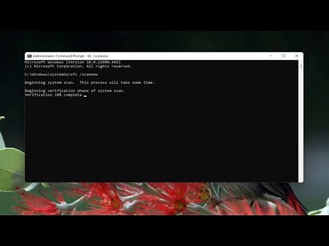 How to Fix Snip & Sketch Not Working Problem in Windows 10/11