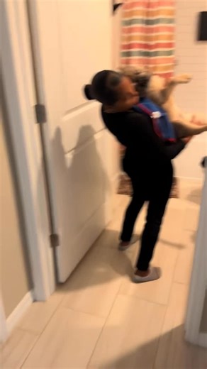 Finding The BEST Viral Products on Instagram: "Guys if you want one just put “DOG HOSE” and I’ll send it over!! this slip on bathtub sprayer turns your tub into a dog wash in seconds no tools no install no mess strong water flow but gentle enough for sensitive pups perfect for big dogs that never fit in the sink and hate the groomer takes less time uses less water and way less stress why it’s a game changer • slips right over most tub spouts • flexible hose gives full control • packs away when y