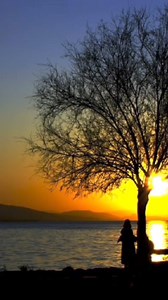 20K views · 90 reactions | Mamá: te fuiste al cielo pero acá te extraño.  #TeExtrañoMadre #TeAmo | Te extraño. Madre | Facebook