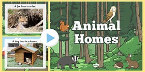 Animal Homes PowerPoint