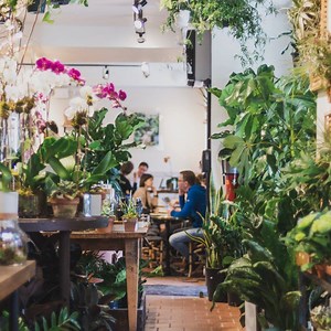 31K views · 43 reactions | Check out this family-owned floral cafe! #BeLocalish | Localish | Facebook