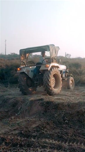 #mafia ka matlab mani😈🚭🗡️🦅..#shortvideo...