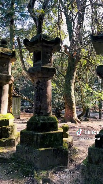 世界遺産に登録されており、全国約1,000社ある春日神社の総本社⛩🌲#奈良県 #春日大社 #春日神社 #神社 #神社巡り #日本の風景 #日本の絶景 #田舎の風景 #田舎の景色 #奈良観光 #奈良 #ジブリの世界 #もののけ姫 #ジブリ #japan #japantravel #ghibli #traveljapan #nara