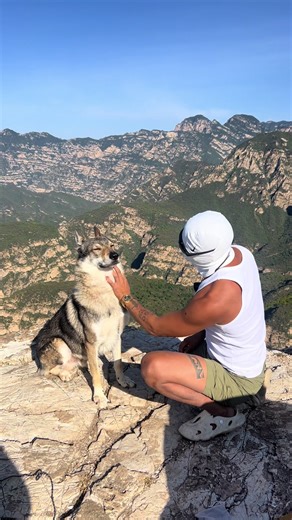 Ten thousand years ago, a hand was reached out. A wolf met it with a furry head. And just like that, humanity found its most loyal companion#AdventureBuddy #WolfishTemptation #MixedBreedWolf #LanguageLearning #fres