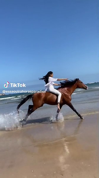 No saddle - no briddle 👉🏼 pure freedom Maria & Mimoon 🔥 🚀 📷 @Le jeune cavalier . . . . . . . #horse #horses #horsesoftiktok #horsegirl #horsetok #horsesontiktok #horselover #caballostiktok #pferd #equestrian #equestriangirl #cavalo #caballos #stallion #girls