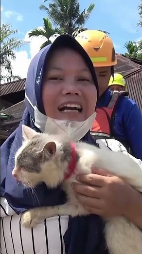 Cat reunites with owner after surviving Indonesia floods