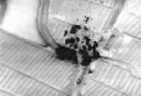 AC-130 Gunship Conducts Strike on Taliban