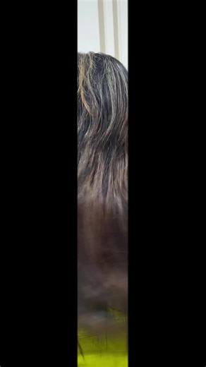 Guide to Long Hair Extensions for Stunning Styles