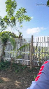 KATUROG TAKUN BAHALA KAW DYAN!!! | KatikalonVlogs AndReels