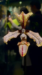 522 reactions · 76 shares | Diamond Ruby and Enamel Hair Ornament...