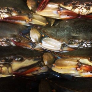28 reactions | It’s Softshell Crab Season!!!!!!! | Nana's Seafood & Soul Food Trailer | Facebook