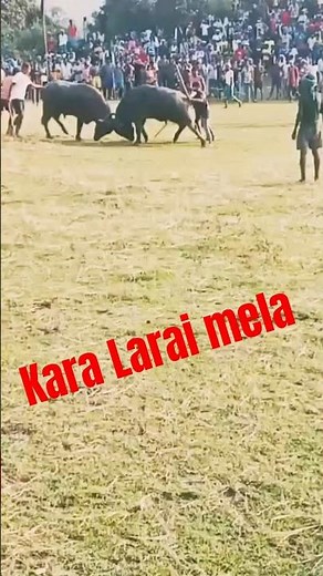 Kara Larai Mela 2025 - The Most Epic Showdown Yet!
