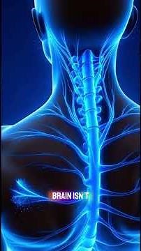 "Ever feel an itch move? Now you know why? | #healthylifestyle