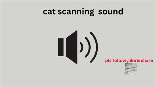 Cat Sounds Compilation: Meows and Purrs for Pets