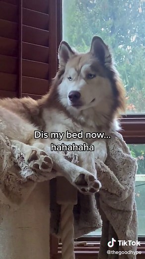 Funny Uno Reverse Beat Compilation