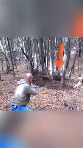 🐻Экстремальная Охота на Медведя | Копьё против Зверя#ОхотаНаМедведя #Медведь #Охота2026