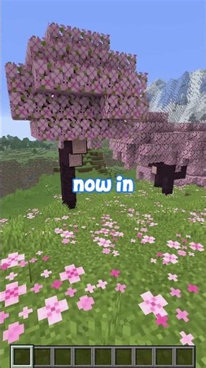 VIRAL Block Morph Mod👀