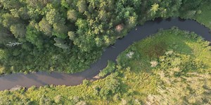 What Are Carbon Offsets, and Can They Combat Climate Change?