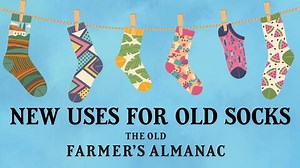20 Smart Ways to Reuse Old Socks, Tights, and Pantyhose (Household & Garden Hacks)